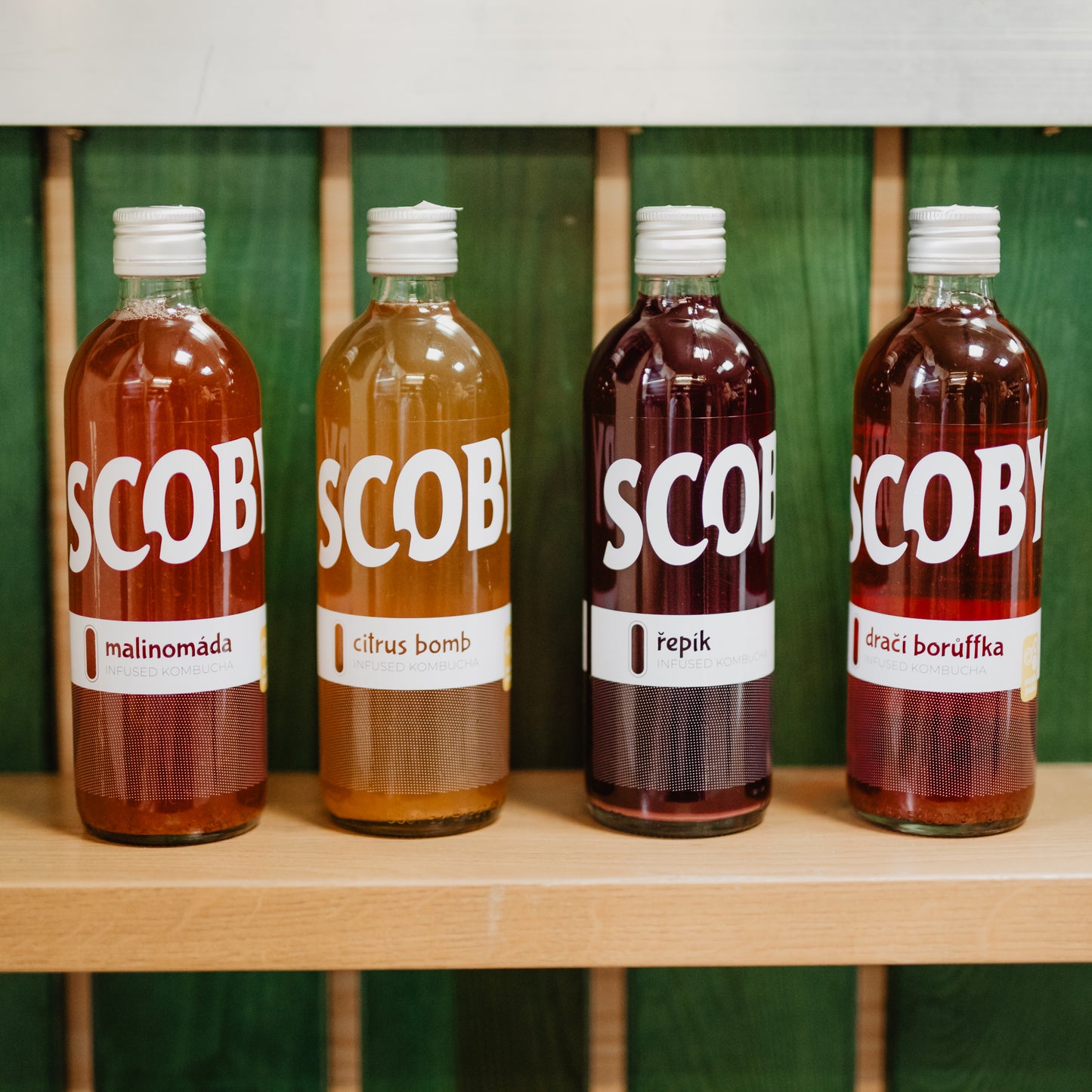 Kombucha - Řepík (500 ml)